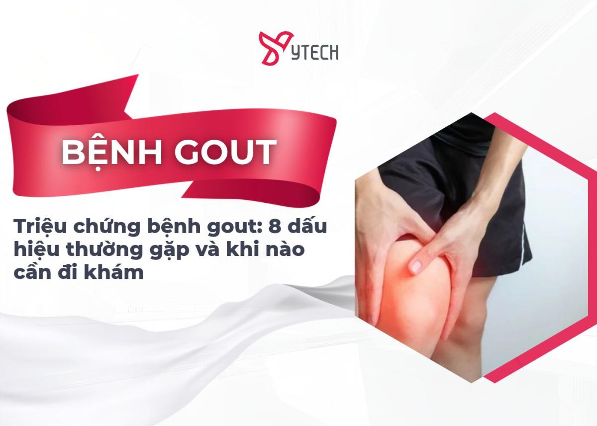 Triệu chứng bệnh gout 8 dấu hiệu thường gặp và khi nào cần đi khám